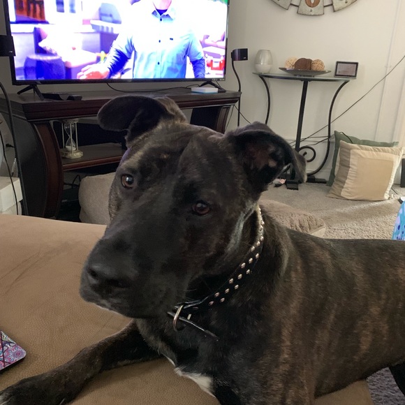 Meet your Posher, Sondra - Picture 2 of 2